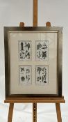 Botany Artwork Print 4 in 1