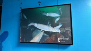 ** NO RESERVE ** LED Signs x3