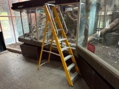 Set of Yellow Ladders