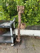 Timber Stand - NO RESERVE