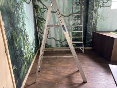 Class 1 Industrial Ladders