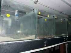 ** NO RESERVE ** Small Fish Tanks x 3
