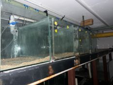 ** NO RESERVE ** Small Fish Tanks x 5