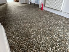 ** NO RESERVE ** Animal Print Carpet