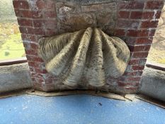 Decorative Shell - NO RESERVE