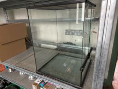 Glass Terrarium