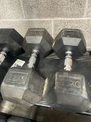 Pair Of Eleiko Dumbbells 22kg