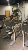 Technogym Excite Stepper