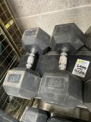 Dumbbell Pair 22.5kg