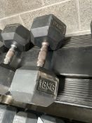 Pair Of Eleiko Dumbbells 18kg
