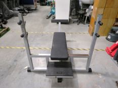 TechnoGym Super Executive Flat Olympic Bench
