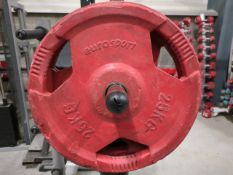 Eurosport 25kg Plates x2