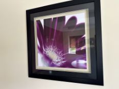 NO RESERVE Purple Flower Prints x3