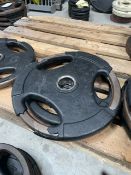 NO RESERVE Jordan Metal Weight Plates 15kg x2