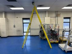 Werner 10 Tread Trade Platform Fibreglass Stepladder