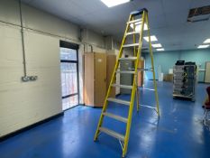 Engex Fibreglass 150kg Load Ladders
