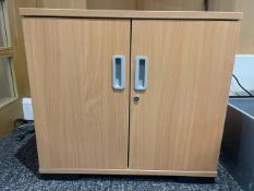 No Reserve - Pine Effect Double Door Cabinet