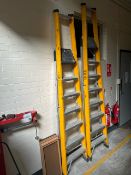 No Reserve - Svelt Yellow Ladders x 1 Shorter Version Only