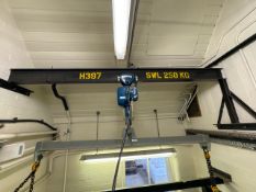 Pemac Hoist and Rail 250kg SWL