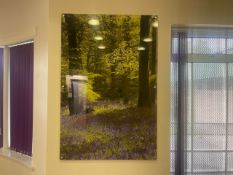 No Reserve - 2 x Prints On Acrylic Wall Mounts