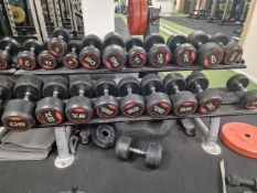 Dumbbell Storage Rack