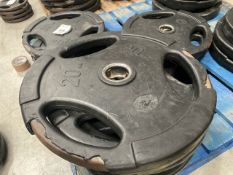 NO RESERVE Jordan Metal Weight Plates 20kg x2