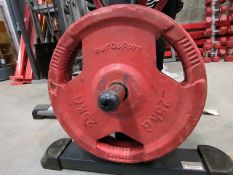 NO RESERVE Eurosport 25kg Plates x2