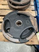 NO RESERVE Jordan Metal Weight Plates 15kg x2