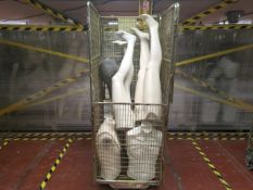 Cage Of Mannequin Parts