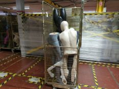 Cage Of Mannequin Parts
