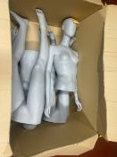 Box Of Mannequin Parts
