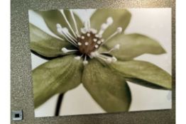 NO RESERVE Flower Picture