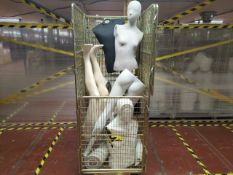 Cage Of Mannequin Parts