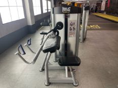 Everlast Bicep Curl