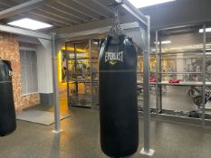 Everlast Punch Bag
