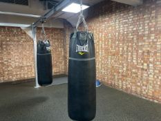 Everlast Punch Bag