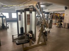 Everlast Lat/High Row