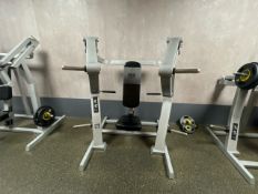 Everlast Plate Loaded Chest Press