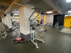 Everlast Assisted Pull Up