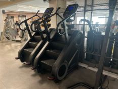 Stairmaster Mountain Climber