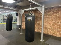 Everlast Punch Bag
