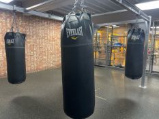Everlast Punch Bag