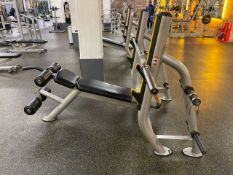 Everlast Decline Bench