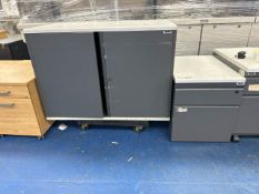 Project Wooden Storage Cupboard