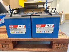 Fiamm 12FLB200P VRLA Battery x 2