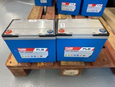 Fiamm 12FLB200P VRLA Battery x 2