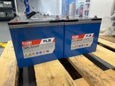 Fiamm 12FLB200P VRLA Battery x 2