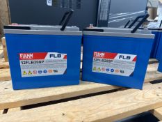 Fiamm 12FLB200P VRLA Battery x 2