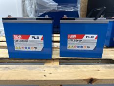 Fiamm 12FLB200P VRLA Battery x 2