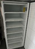 Freestanding Polar Freezer